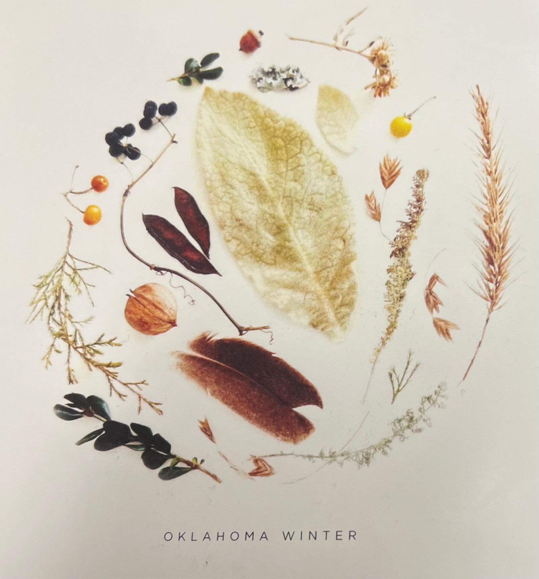 art print - oklahoma season by create etc dba evie s.