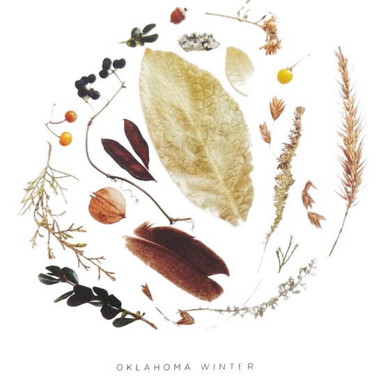art print - oklahoma season by create etc dba evie s.