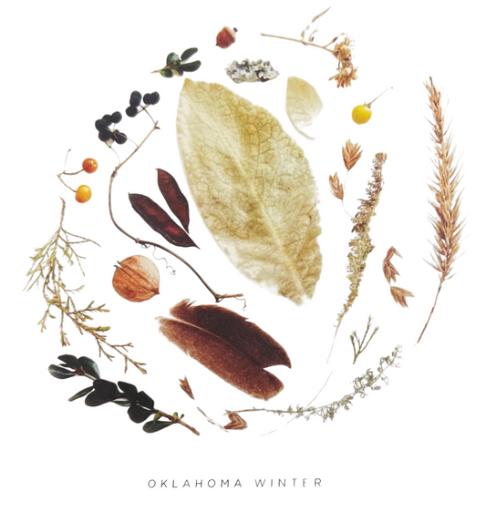 art print - oklahoma season by create etc dba evie s.