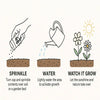 garden shaker can - oklahoma wildflowers by gifts that bloom