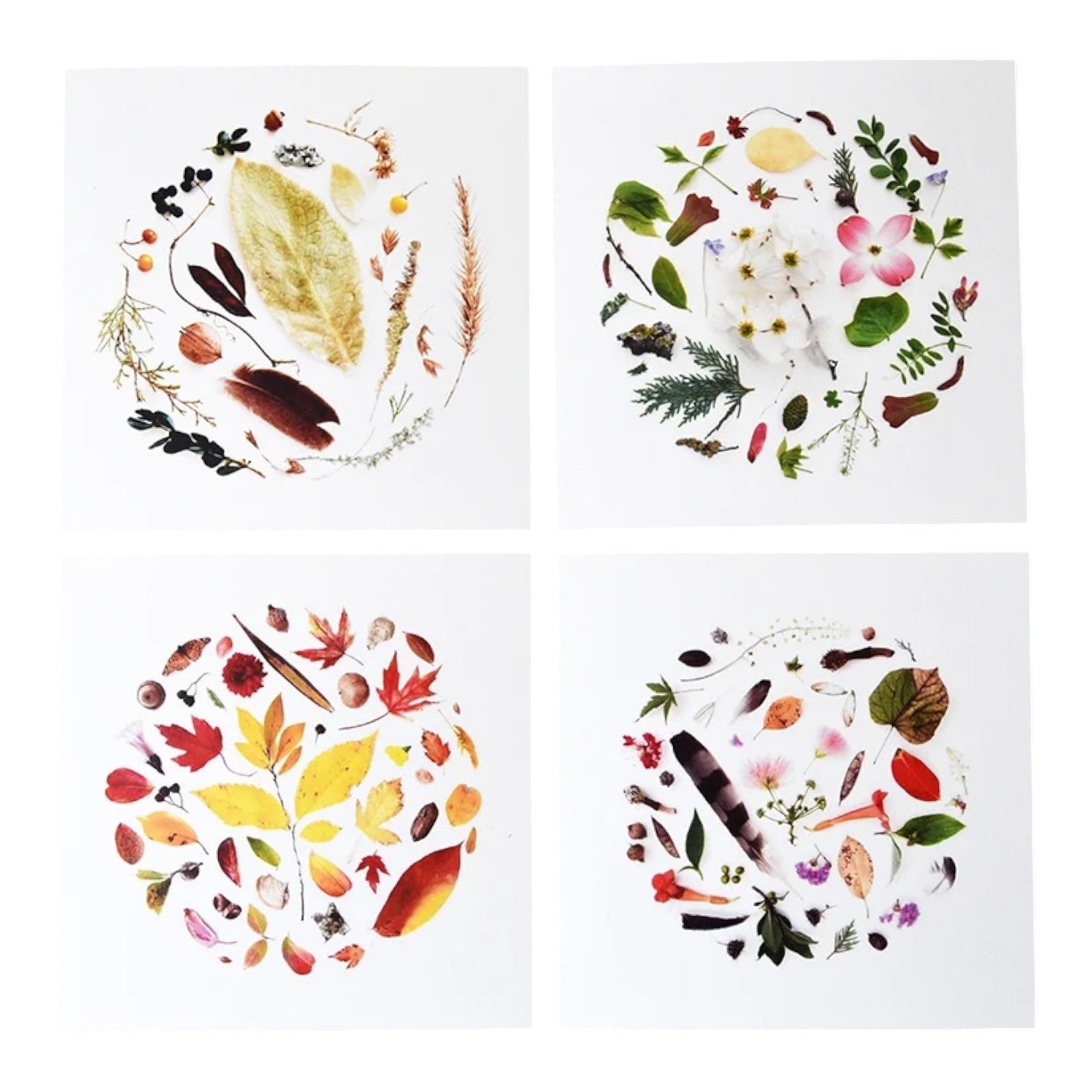 art print - oklahoma season by create etc dba evie s.