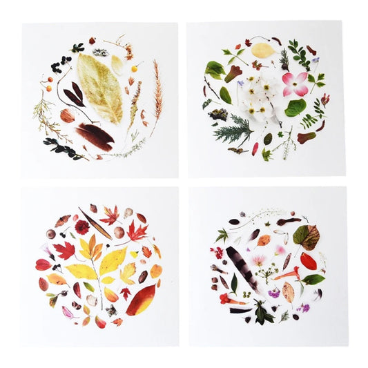 art print - oklahoma season by create etc dba evie s.