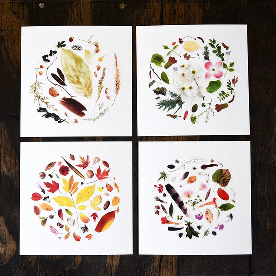 art print - oklahoma season by create etc dba evie s.