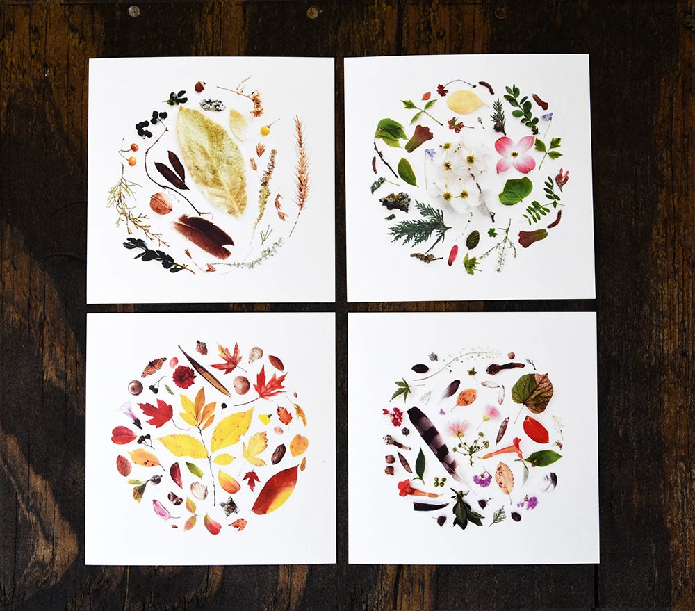 art print - oklahoma season by create etc dba evie s.