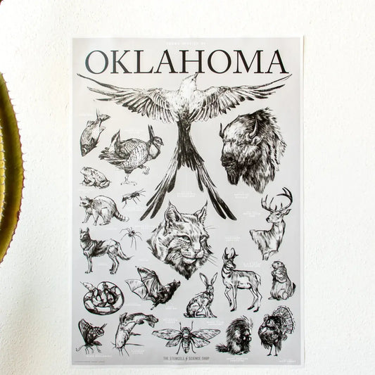 art print - oklahoma wildlife chart by stemcell science shop