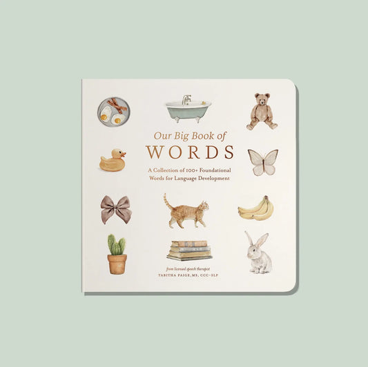 board book - our big book of words by paige tate & co.