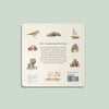 board book - our big book of words by paige tate & co.