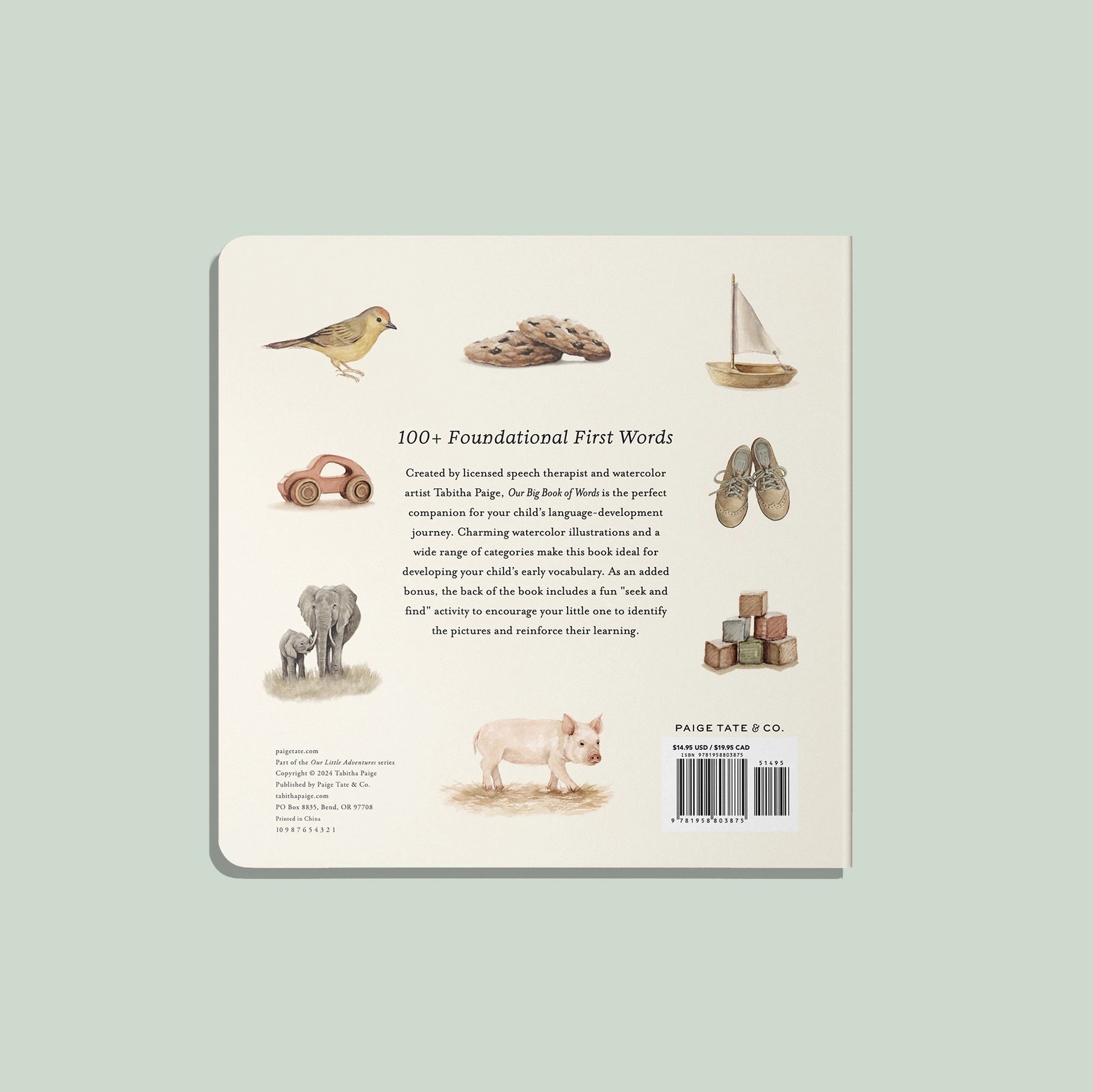 board book - our big book of words by paige tate & co.