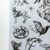 Art Print | Oklahoma Wildlife Chart | 19" x 27"