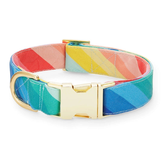 dog collar - over the rainbow by foggy dog