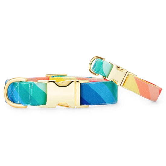 dog collar - over the rainbow by foggy dog
