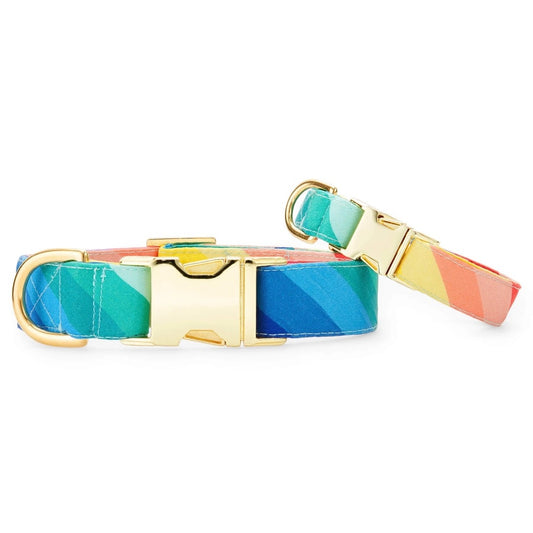 dog collar - over the rainbow by foggy dog