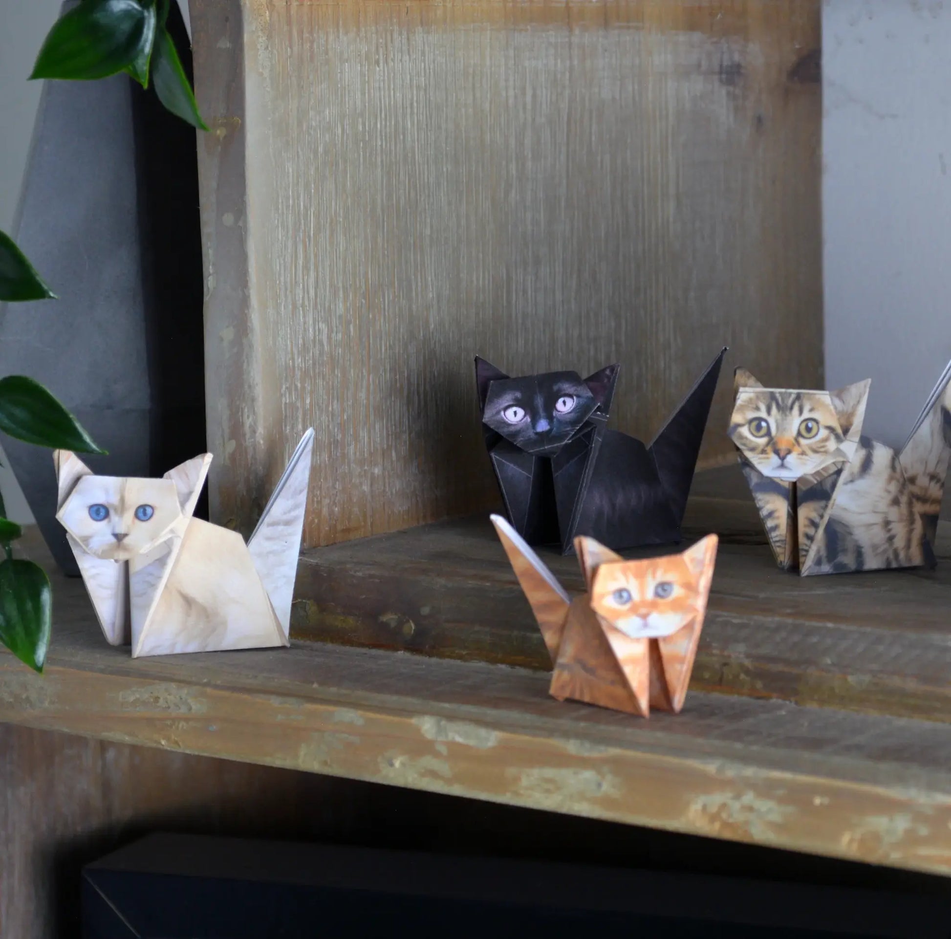 origami kit - paper pets by pikkii usa