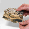origami kit - paper pets by pikkii usa