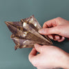 kit - origami - paper dinos by pikkii usa