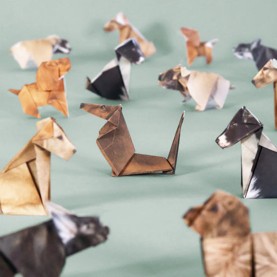 origami kit - paper pets by pikkii usa