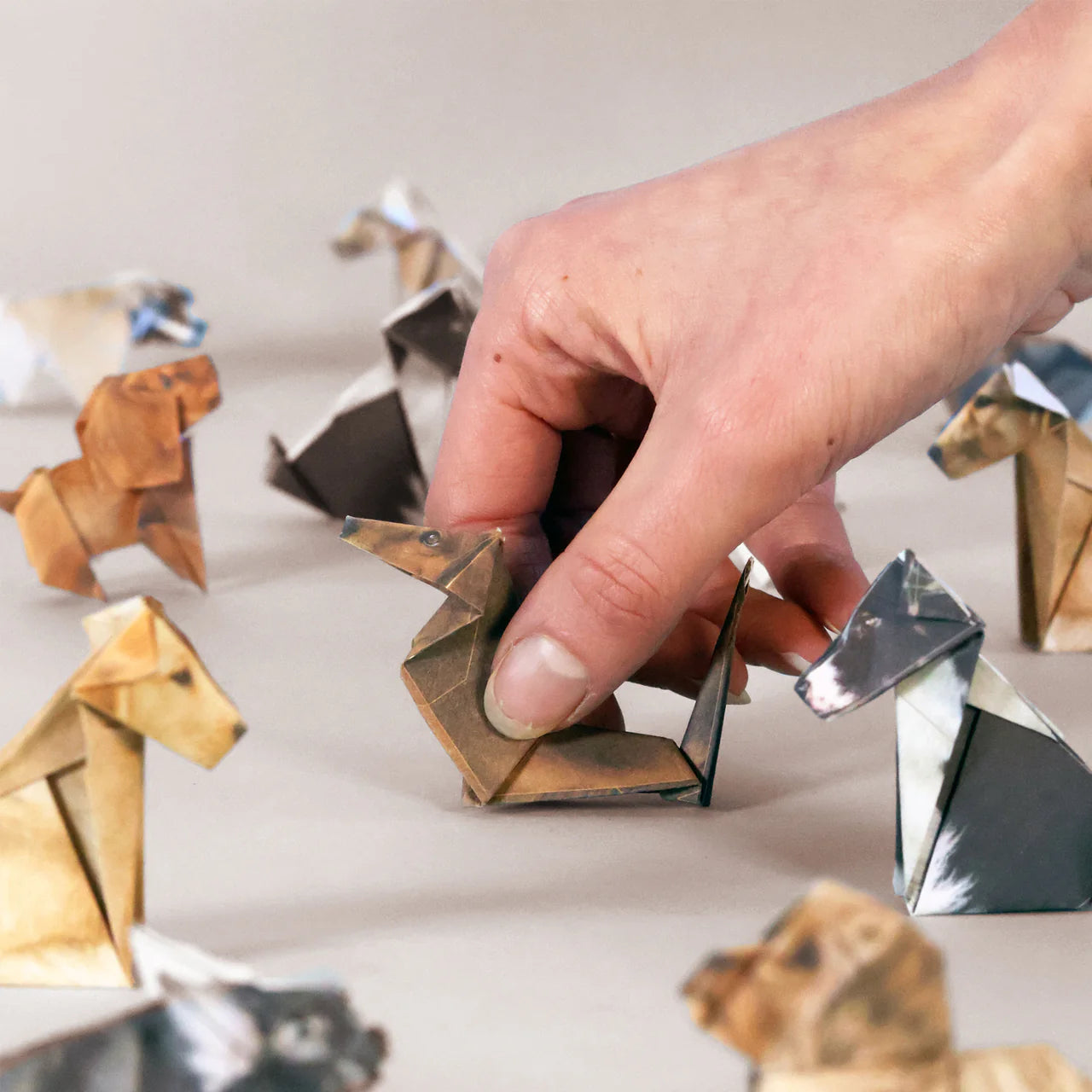 origami kit - paper pets by pikkii usa