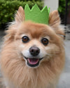 pet crown - wool felt by modernbeast