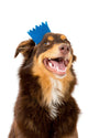 pet crown - wool felt by modernbeast