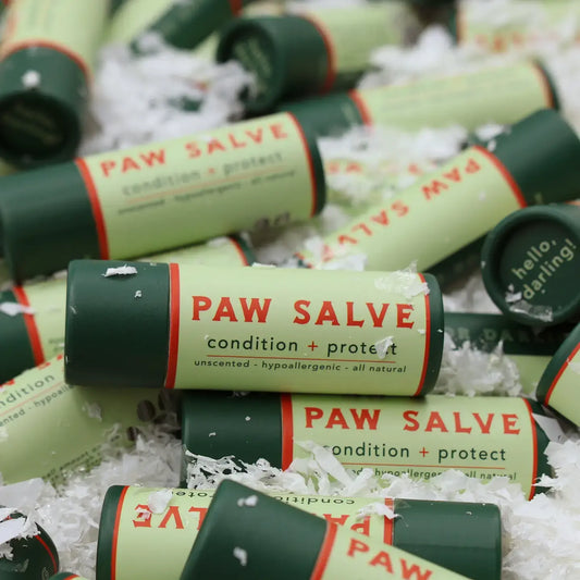 salve stick - dog paw by major darling