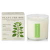 Candle | Fresh Picked Basil | 9oz