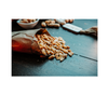 snack - tennesee peanut by tennessee peanut co.