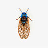 brooch pin - periodical cicada by trovelore
