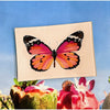 glass tray - decoupage - pink sardinia butterfly by ben's garden