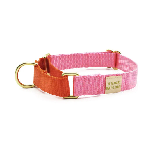 dog collar - martingale - pink + orange by major darling