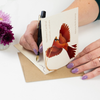 Ornament + Notecard | Bronze | Cardinal