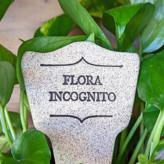 plant marker - flora incognito by amaranth stoneware