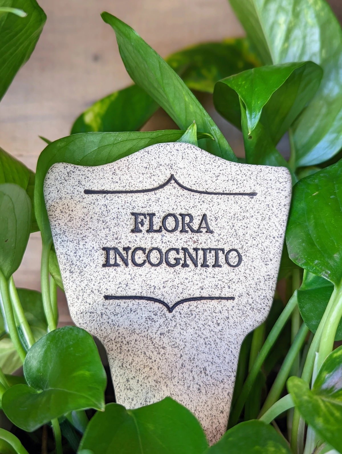 plant marker - flora incognito by amaranth stoneware