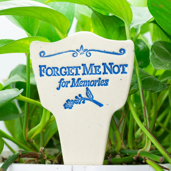 plant marker - "lore" - forgetmenot for memories by amaranth stoneware