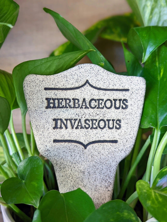 plant marker - "comic latin" - herbaceous invaseous by amaranth stoneware