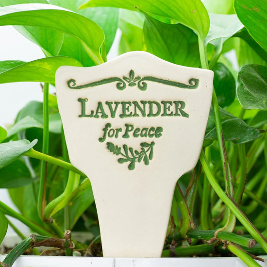 plant marker - "lore" - lavender for peace by amaranth stoneware