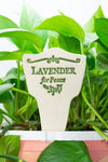 plant marker - "lore" - lavender for peace by amaranth stoneware