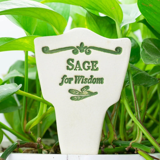 plant marker - "lore" - sage for wisdom by amaranth stoneware