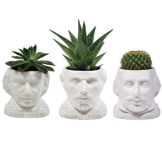 ceramic planter pot - bust figure by unemployed philosophers guild