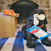 dog plush toy - snack attack by p.l.a.y.
