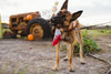 dog plush toy - halloween by p.l.a.y.