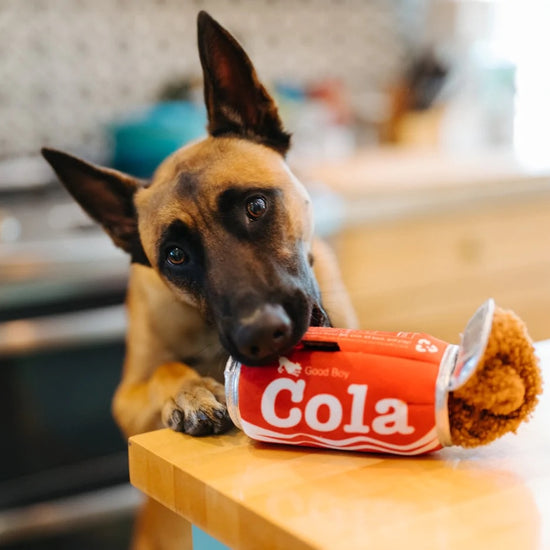 dog plush toy - snack attack by p.l.a.y.