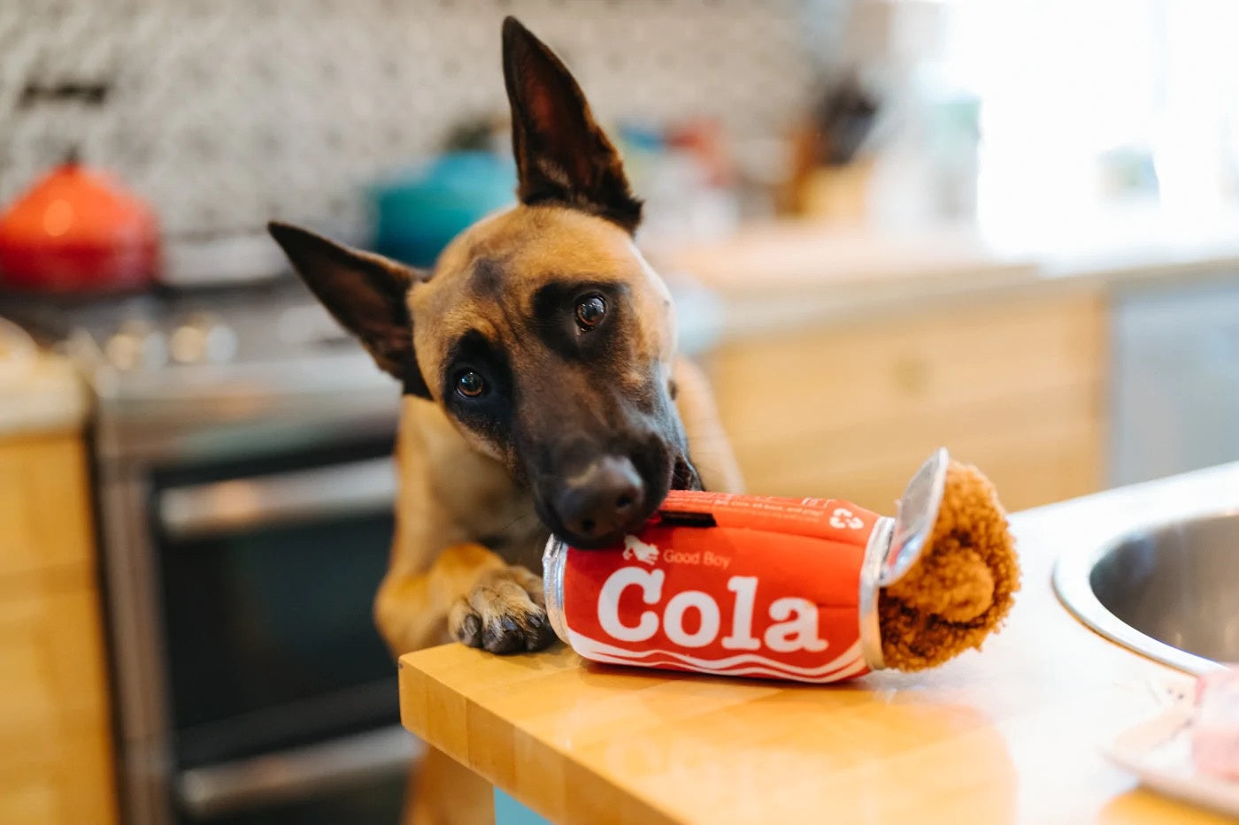 dog plush toy - snack attack by p.l.a.y.