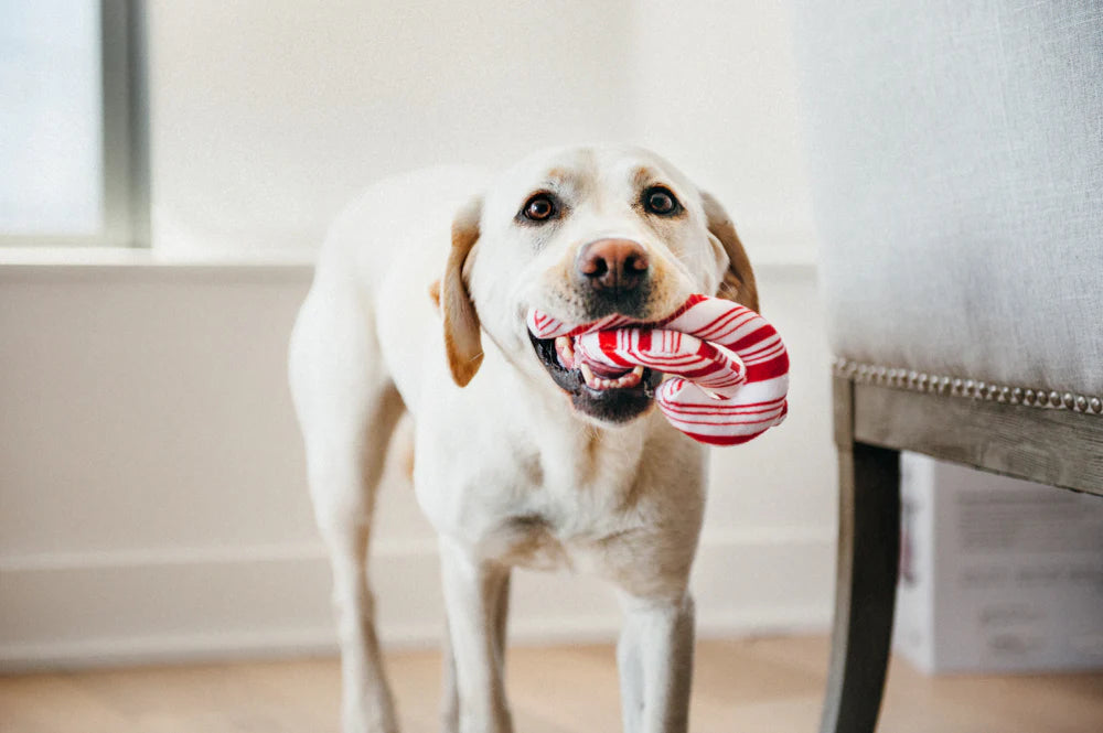 dog plush toy - holiday classic by p.l.a.y.