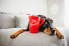 dog plush toy - holiday classic by p.l.a.y.