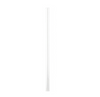 Straw|Glass 8in