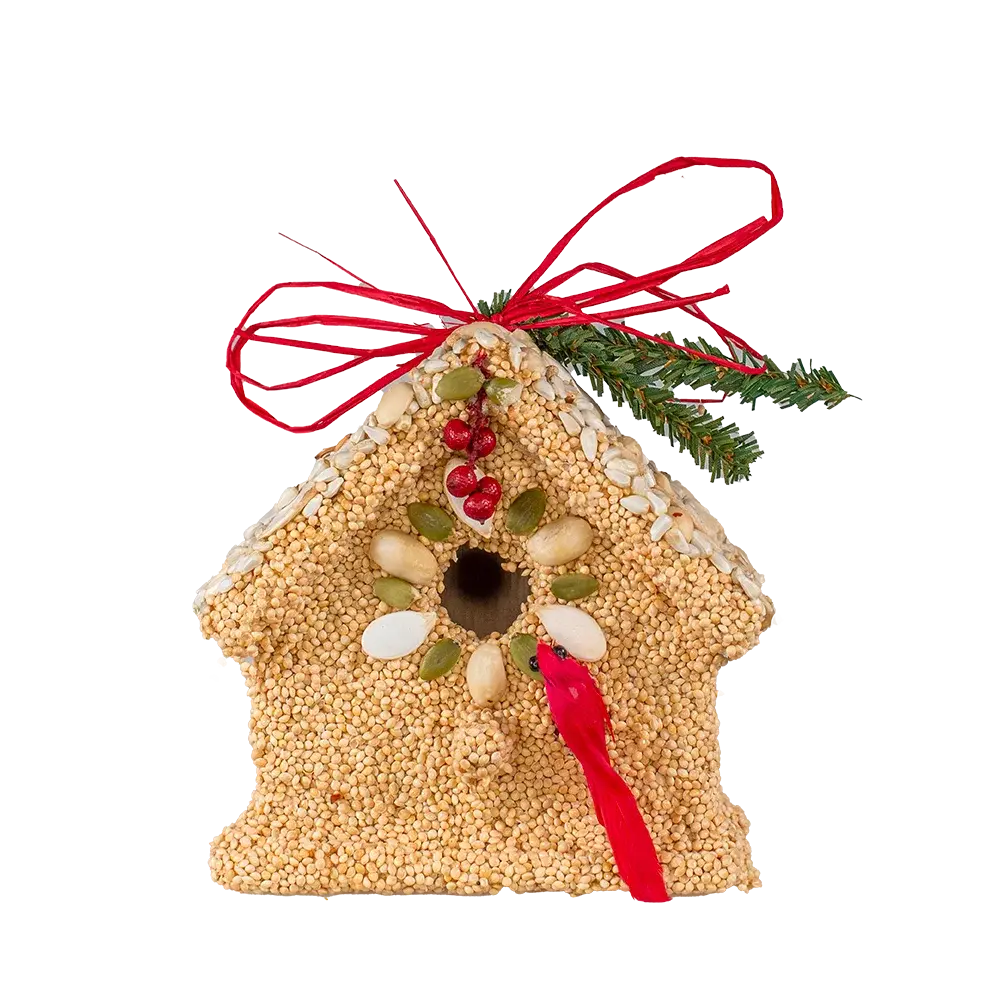 bird seed - poinsettia cottage by mr. bird
