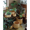 basket - "poire" cedar - round by time concept inc.