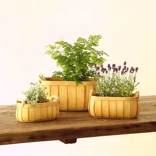basket - "poire" cedar - oval by time concept inc.