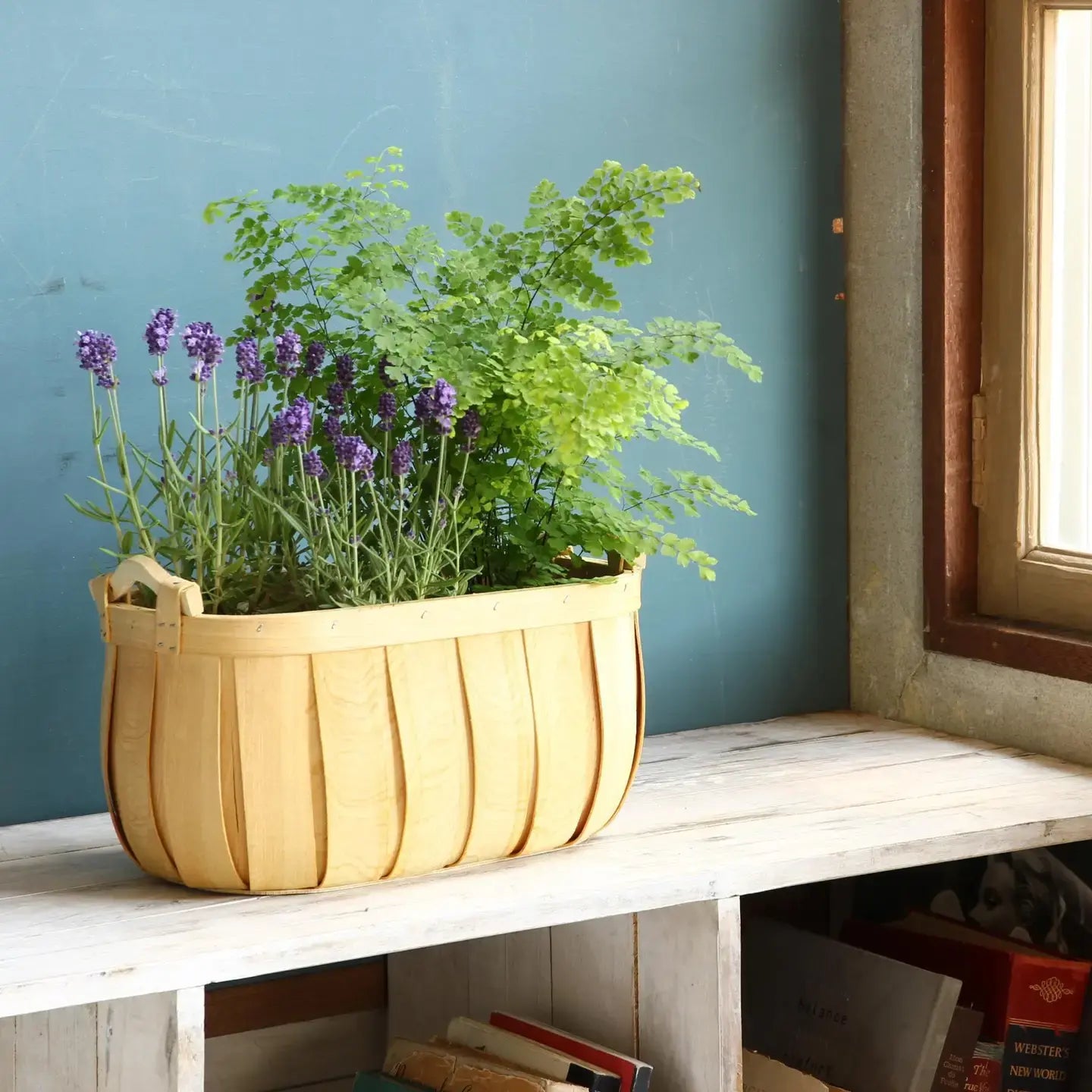 basket - "poire" cedar - oval by time concept inc.