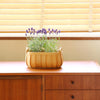 basket - "poire" cedar - oval by time concept inc.